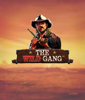 Обложка игры: The Wild Gang